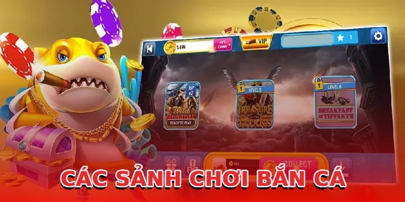 cac-sanh-choi-ban-ca